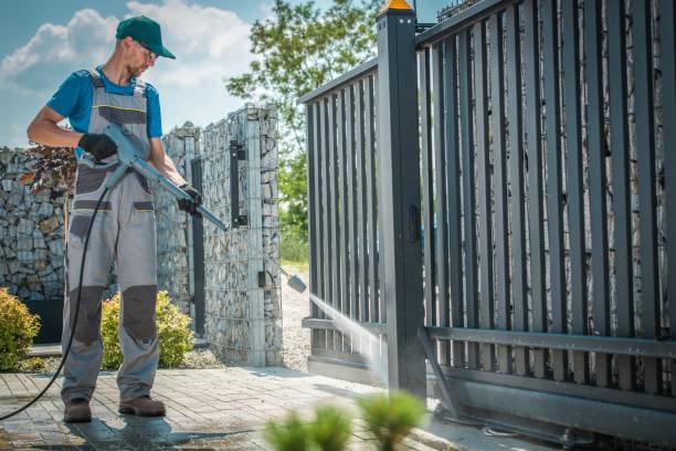 Solar Panel Cleaning in Plum Grove, TX