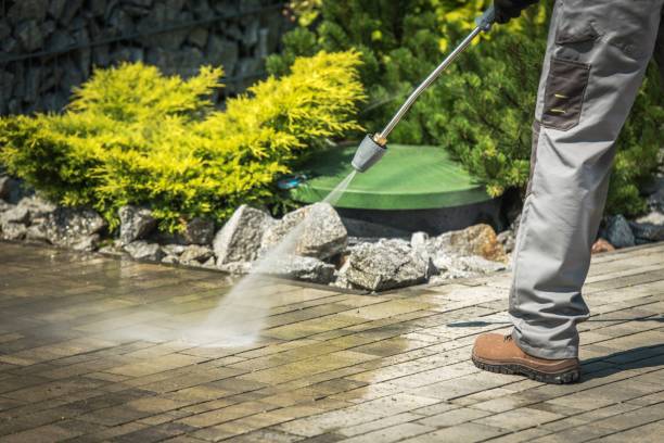Trusted Plum Grove, TX Pressure Washing Services Experts
