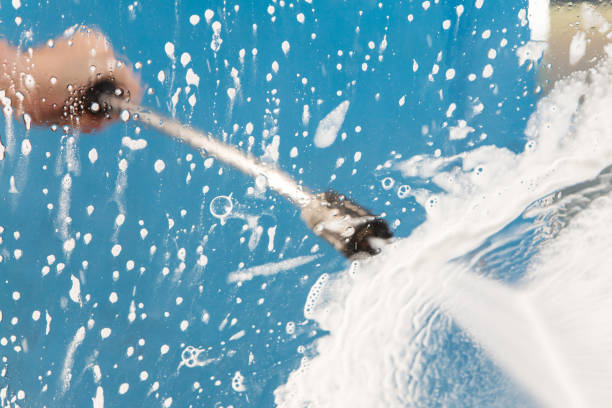 Animal Enclosure Cleaning in Plum Grove, TX